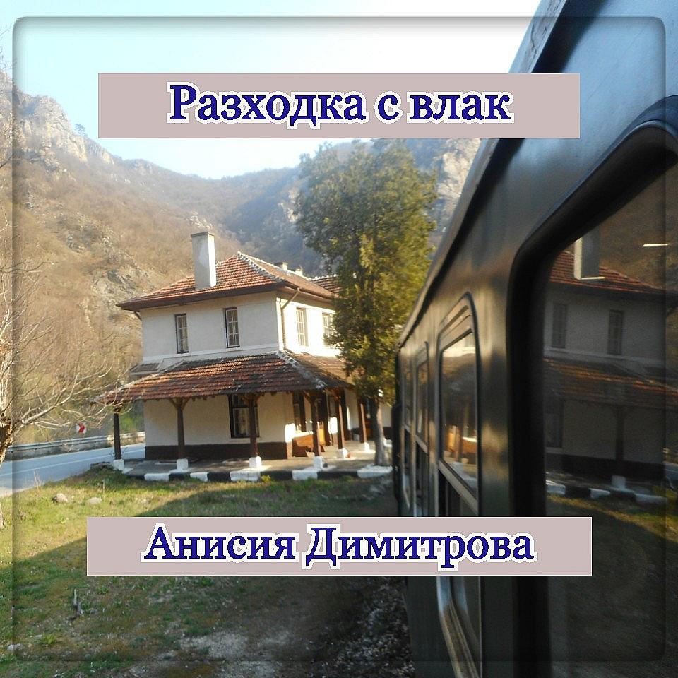 Разходка с влак