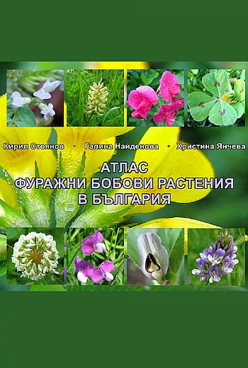 Фуражни бобови растения в България